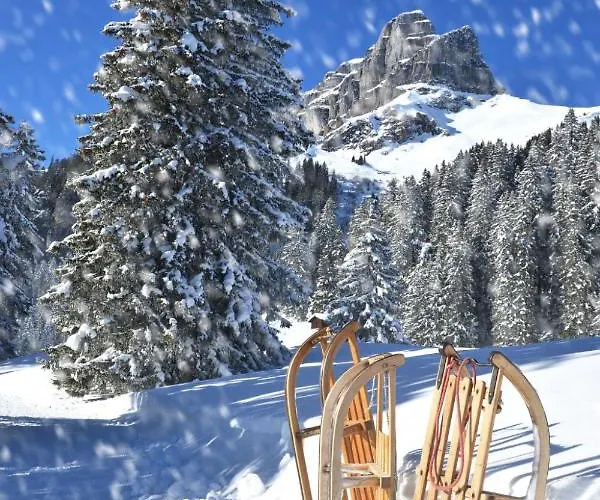 Allod Park Haus C 404 By Interhome Davos