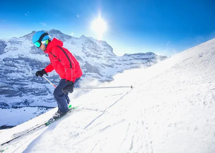 Allod Park Haus C 404 By Interhome Davos